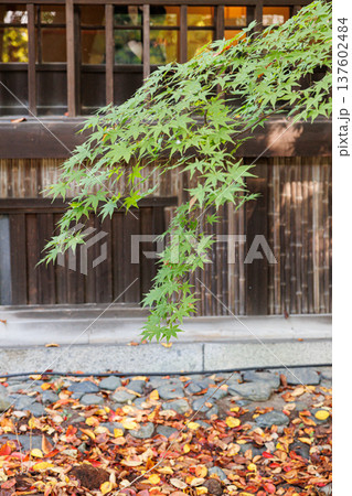 雰囲気ある昔の日本家屋の風景素材 137602484