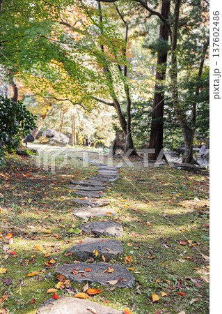 雰囲気ある昔の日本家屋の風景素材 137602486