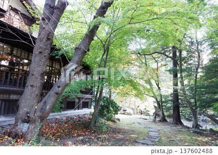 雰囲気ある昔の日本家屋の風景素材 137602488