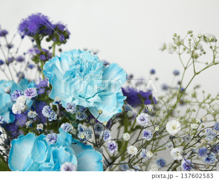 Bouquet of blue and purple flowers Bouquet of blue and purple flowers 137602583