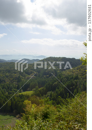 It is a lush forest landscape. It is a lush forest landscape. 137602681