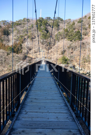 栃木県 日光市 鬼怒川温泉の風景 吊り橋と渓谷 温泉街の散策路 137602777
