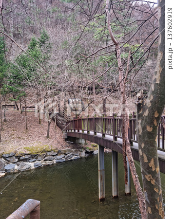 This is Maninsan Recreational Forest in Daejeon, Korea. This is Maninsan Recreational Forest in Daejeon, Korea. 137602919