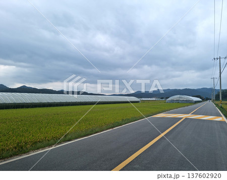 It's a field and a straight road. It's a field and a straight road. 137602920