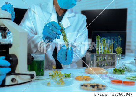 Eco laboratory microbiology. Sample in a Microscope and comparing a plant or herb in test tube or glassware. Natural product and organic cosmetic health care. 137602947