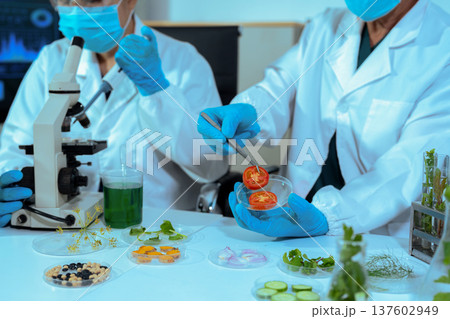 Eco laboratory microbiology. Sample in a Microscope and comparing a plant or herb in test tube or glassware. Natural product and organic cosmetic health care. 137602949