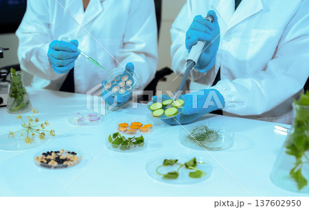 Eco laboratory microbiology. Sample in a Microscope and comparing a plant or herb in test tube or glassware. Natural product and organic cosmetic health care. 137602950