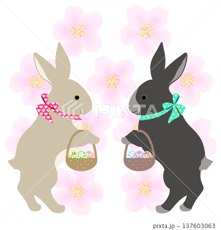イースター_エッグハント中のウサギ 137603063