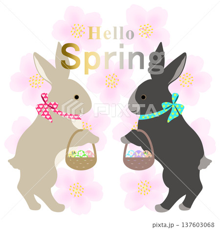 イースター_エッグハント中のウサギ 137603068