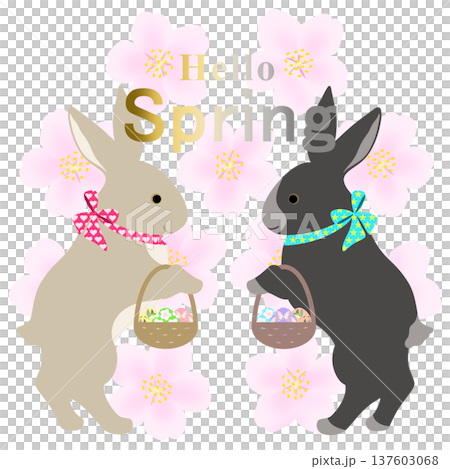 イースター_エッグハント中のウサギ 137603068