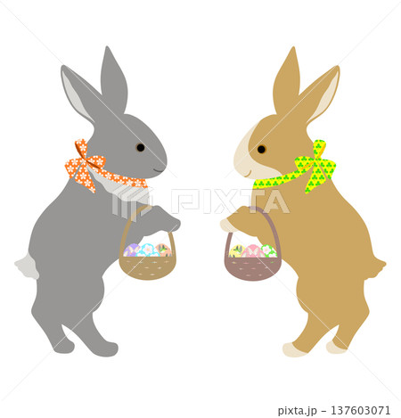 イースター_エッグハント中のウサギ 137603071