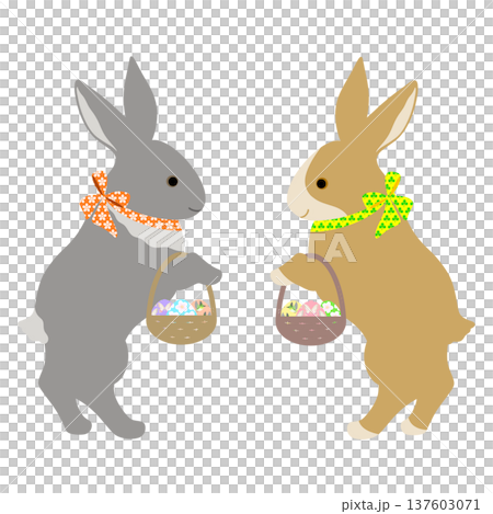 イースター_エッグハント中のウサギ 137603071