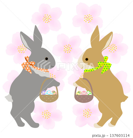 イースター_エッグハント中のウサギ 137603114