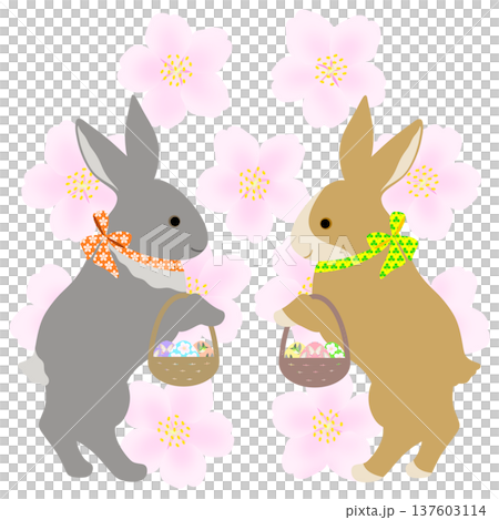 イースター_エッグハント中のウサギ 137603114