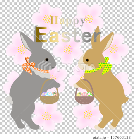 イースター_エッグハント中のウサギ 137603138