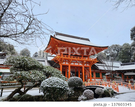 京都 上賀茂神社(楼門)【雪】 京都 上賀茂神社(楼門)【雪】 137603345