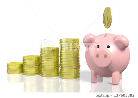 Piggy-bank and money - 3D illustration 137603392