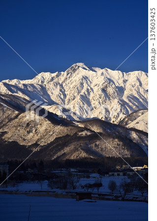 厳冬の白馬村天神坂付近から朝日を浴びる五竜岳を望む 厳冬の白馬村天神坂付近から朝日を浴びる五竜岳を望む 137603425
