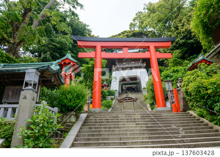 江島神社の瑞心門と大鳥居を見上げる風景 江島神社の瑞心門と大鳥居を見上げる風景 137603428