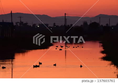 佐賀のクリークの夕景 佐賀のクリークの夕景 137603761