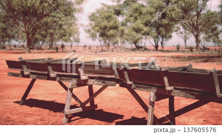 In a peaceful desert landscape, wooden benches sit neatly arranged on red earth under a clear blue sky. Lush green trees provide a beautiful contrast to the warm tones of the ground. 137605576