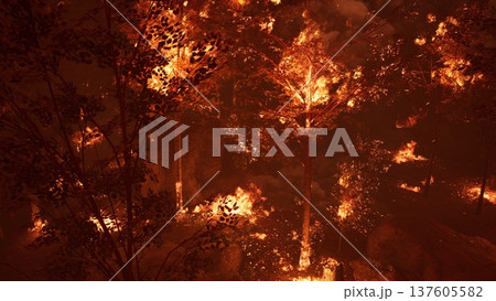 Flames engulf trees in a dense forest, illuminating the darkness. This scene showcases the destructive power of fire and the haunting beauty of nature under siege. Flames engulf trees in a dense forest, illuminating the darkness. This scene showcases the destructive power of fire and the haunting beauty of nature under siege. 137605582