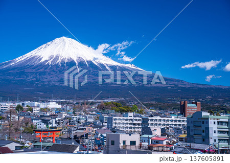 【富士山素材】富士山と富士宮市街地【静岡県】 【富士山素材】富士山と富士宮市街地【静岡県】 137605891