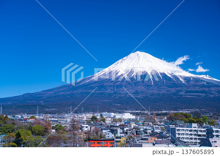 【富士山素材】富士山と富士宮市街地【静岡県】 137605895