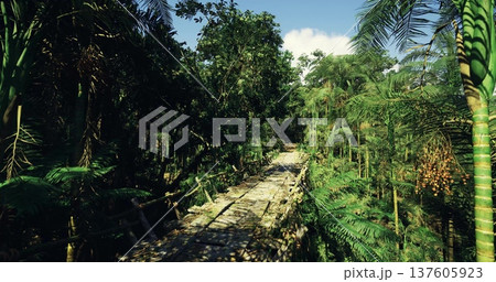 Pathway through jungle with equipment footprints, Access trail through dense tropical woods displaying equipment and canopy openings for ecological study 137605923