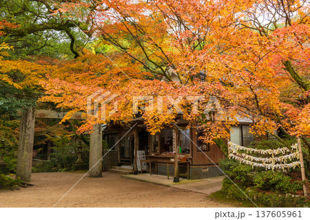秋の佐賀県神埼市 紅葉の仁比山神社 秋の佐賀県神埼市 紅葉の仁比山神社 137605961
