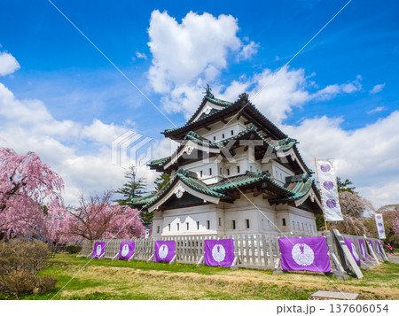晴天の青空と満開のシダレザクラに囲まれた弘前城の天守閣 (青森県、弘前) 137606054