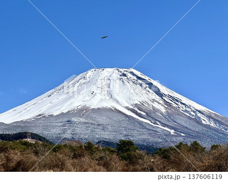 三月の富士山 三月の富士山 137606119