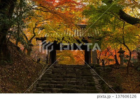 秋の福岡県朝倉市　紅葉の秋月城下町　秋月城跡（黒門） 137606126
