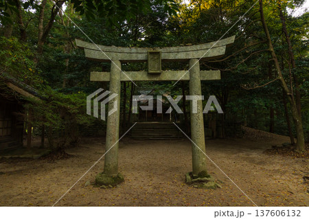 秋の福岡県朝倉市　紅葉の秋月城下町　垂裕神社 137606132