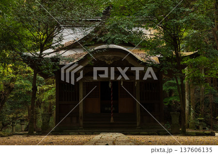 秋の福岡県朝倉市 紅葉の秋月城下町 垂裕神社 秋の福岡県朝倉市 紅葉の秋月城下町 垂裕神社 137606135