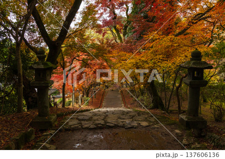 秋の福岡県朝倉市 紅葉の秋月城下町 秋月城跡 秋の福岡県朝倉市 紅葉の秋月城下町 秋月城跡 137606136