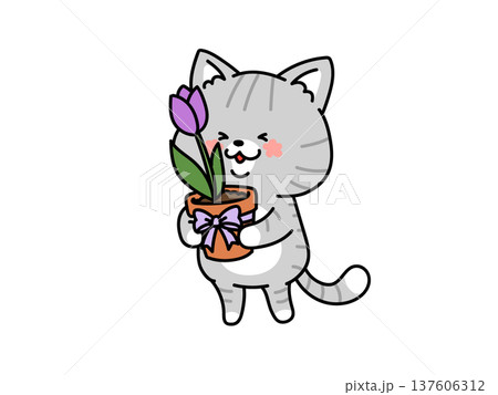 チューリップの鉢植えを持つネコさん チューリップの鉢植えを持つネコさん 137606312