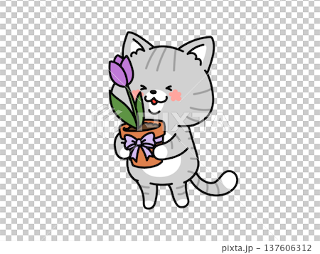 チューリップの鉢植えを持つネコさん チューリップの鉢植えを持つネコさん 137606312