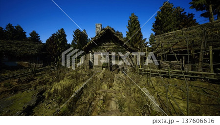 Sunny hollow with narrow grass path winding toward rustic cabins and leaning fence, tall grasses sway under clear blue sky, mood of simplicity and quiet Sunny hollow with narrow grass path winding toward rustic cabins and leaning fence, tall grasses sway under clear blue sky, mood of simplicity and quiet 137606616