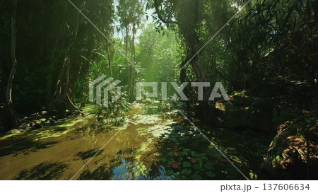 wildlife researcher study at sunlit mangrove pool documenting habitat and specimen, close observation of roots, algae and reflective water, educational 137606634