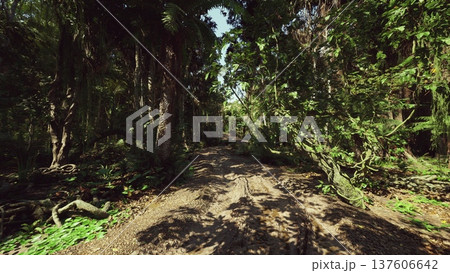 narrow overgrown trail under emergent trees, thick understory and towering trunks, tangled vines and filtered sunlight, sense of discovery for explorers 137606642