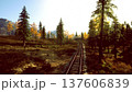 sunrise railroad tracks through autumn forest, warm light casting long shadows across rails and fallen leaves, pine trees lining rustic corridor, ideal backdrop 137606839