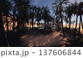 dusky palm grove with long shadows, sandy trail winding through dense undergrowth toward distant orange sunset over calm oasis water, moody cinematic 137606844