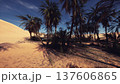sunlit desert oasis with palm grove casting long shadows across golden sand under deep blue sky, cinematic golden hour lighting, quiet refuge among towering 137606865