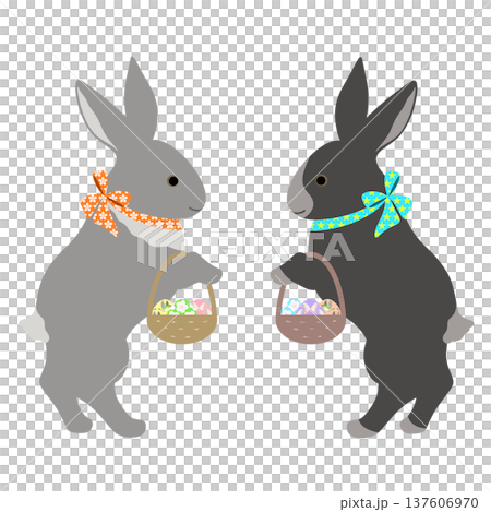 イースター_エッグハント中のウサギ 137606970