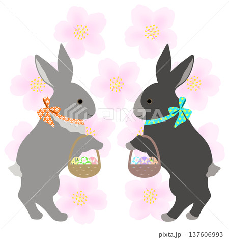 イースター_エッグハント中のウサギ 137606993
