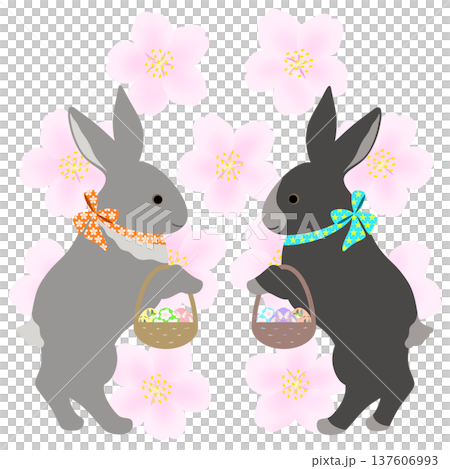 イースター_エッグハント中のウサギ 137606993