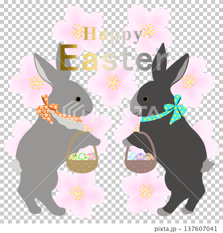 イースター_エッグハント中のウサギ 137607041