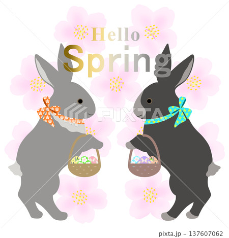 イースター_エッグハント中のウサギ 137607062