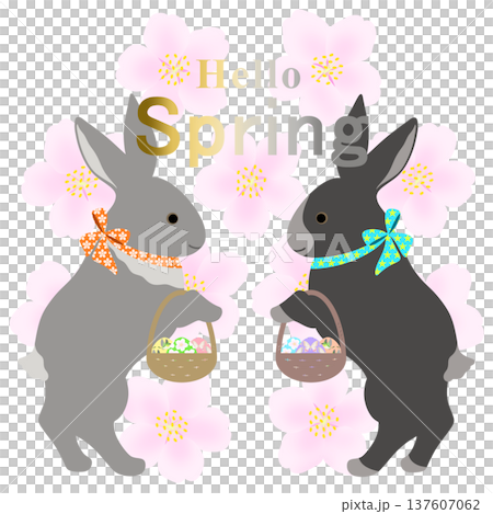 イースター_エッグハント中のウサギ 137607062